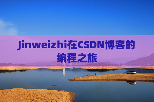Jinweizhi在CSDN博客的编程之旅